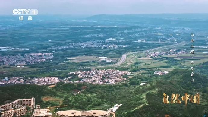 树苗坐无人机空降在陕西蓝田县焦岱镇，山高谷深的洋峪迎来了高科技的助力，利用无人机