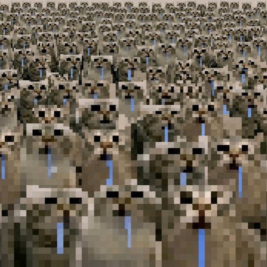 cat_core