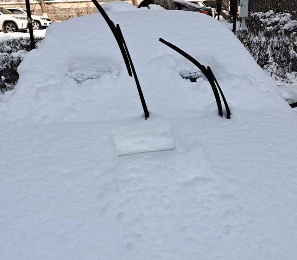 早晨扫雪，来个造型，看看效果如何？
        在车上前玻璃上的雪挖出两个眼