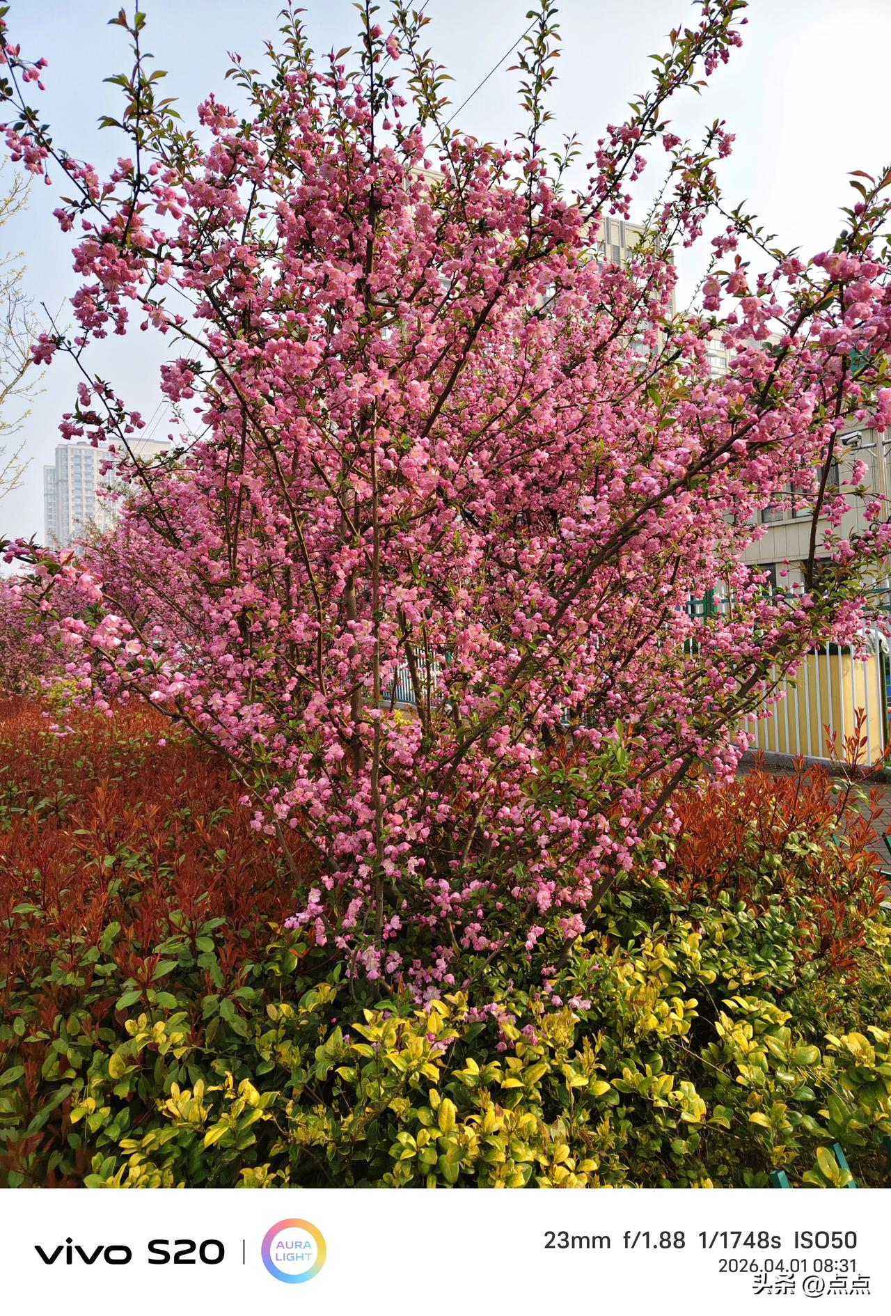 今年春天最想实现的心愿春风拂面，万物新生，正式开启春日生活打卡季。清晨迎着暖阳出