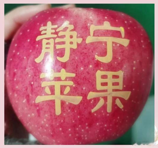 质量强县：联农富民打造西部样板质量甘肃行品静宁苹果甜 2026年主流媒体质量甘肃