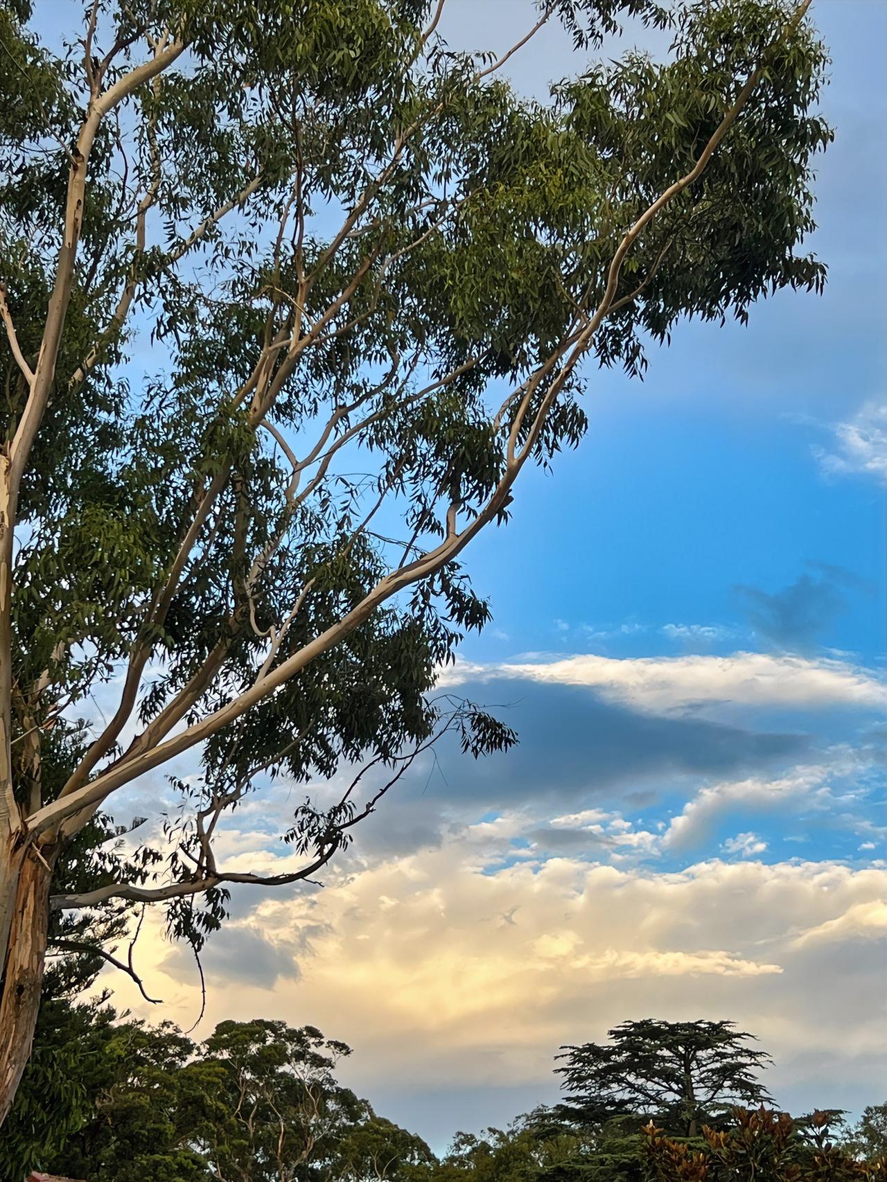 真正的独处，关键在于内心。很多时候，我们即便孤身一人，心却被各种杂念填满，像社交