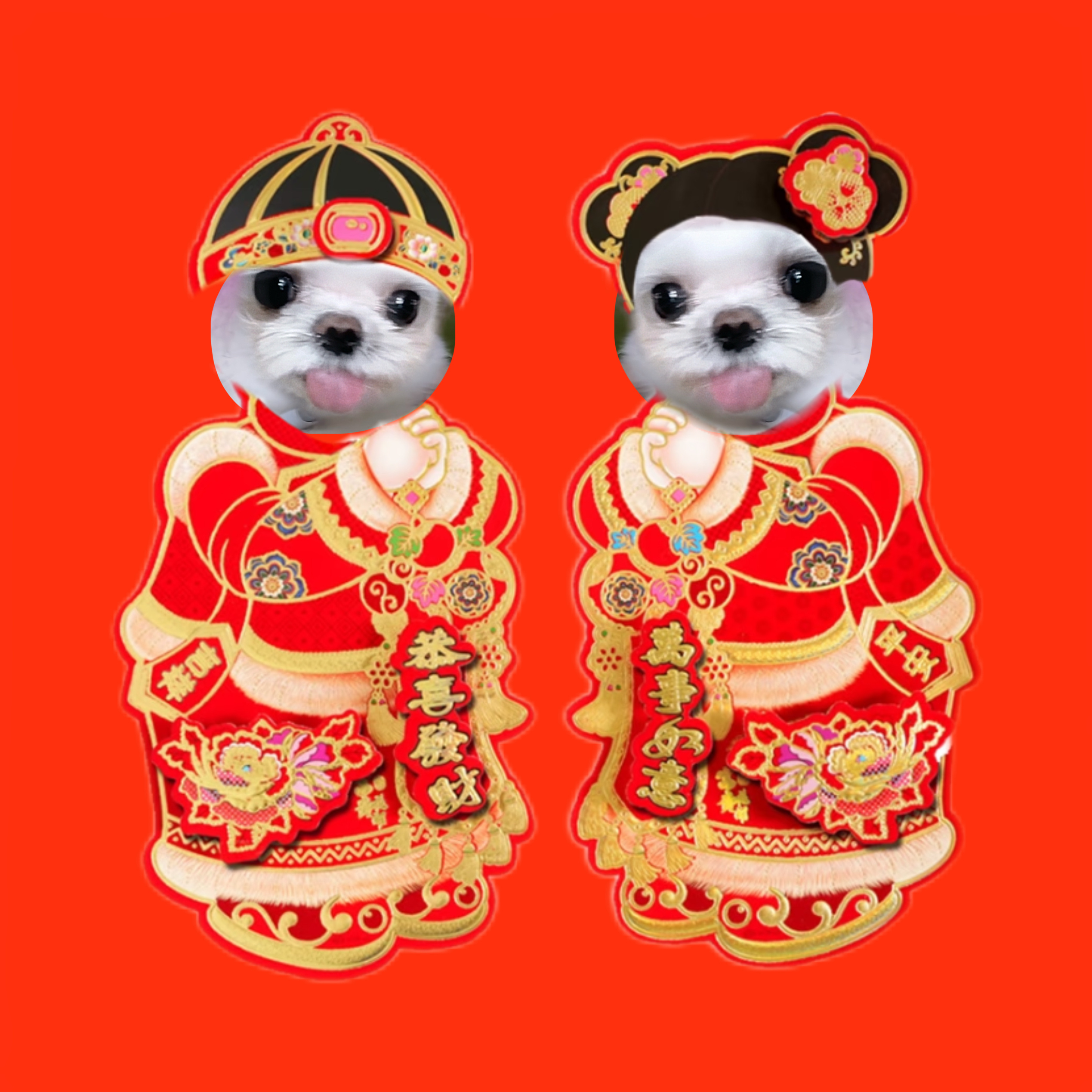 今天的宣控需要你助力！管妹需要你助力！数据需要你助力！会会需要你助力！讯息需要你