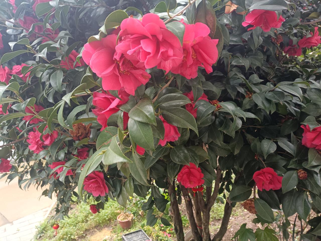 AI未来趋势探讨