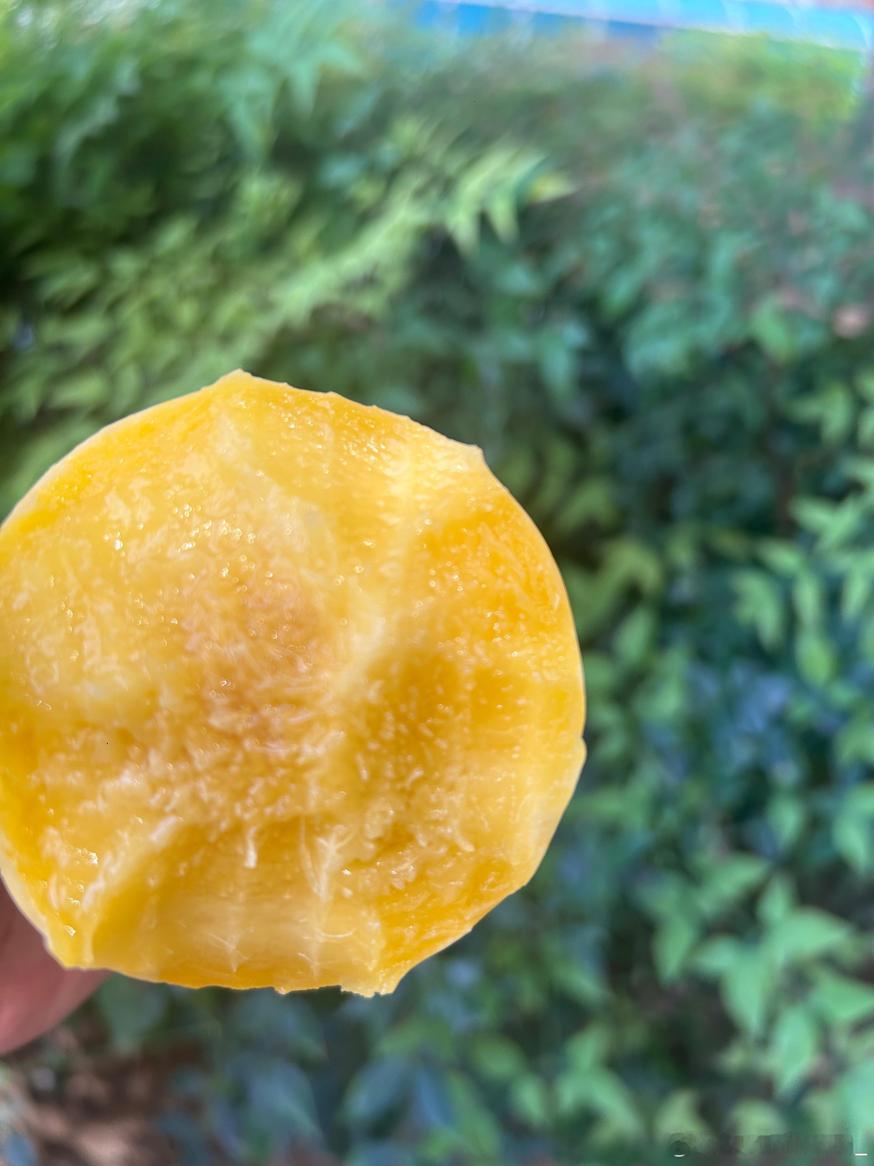 这个黄金油桃🍑是真的甜。 ​​​