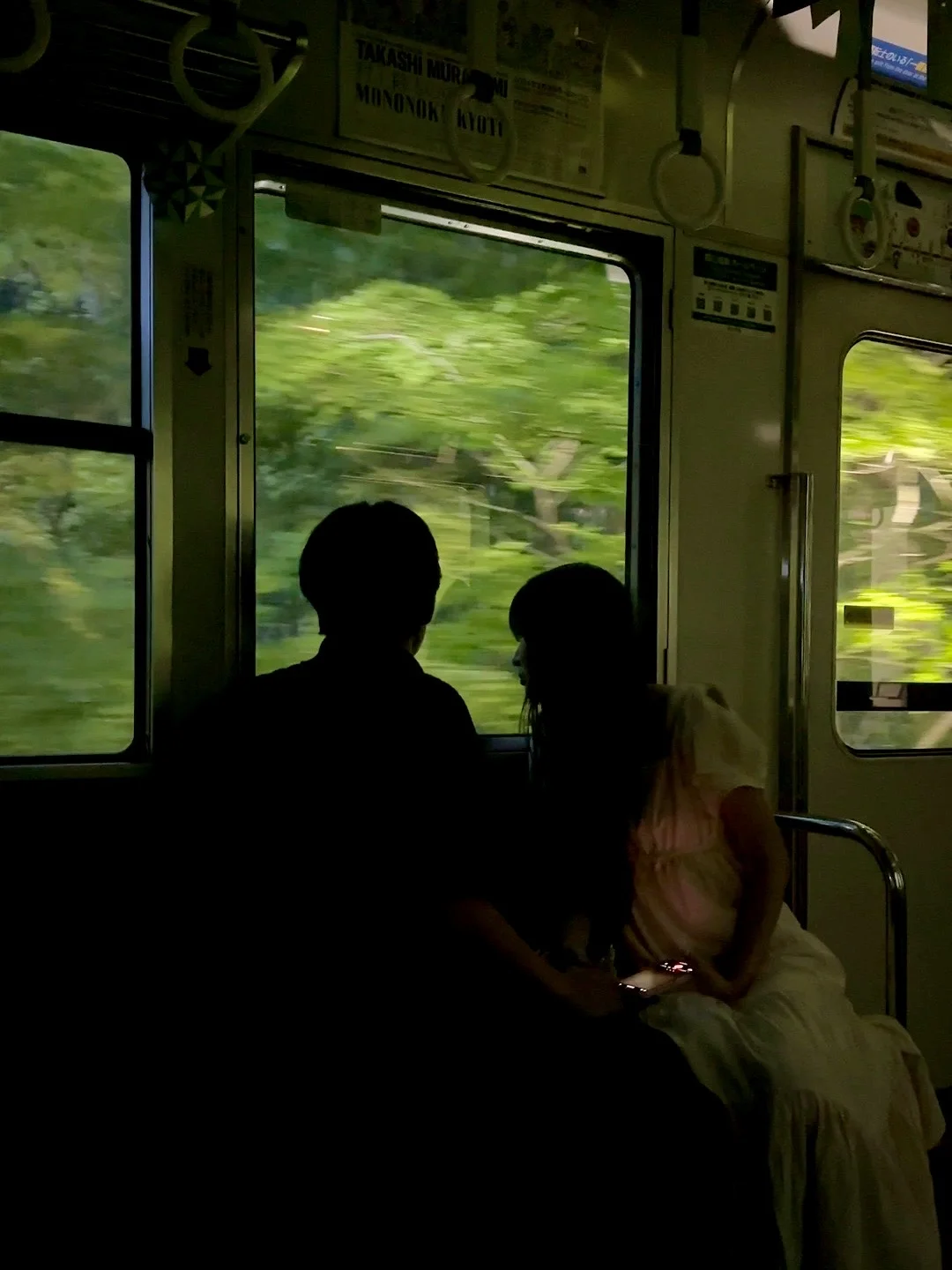 我镜头里的春夏秋冬