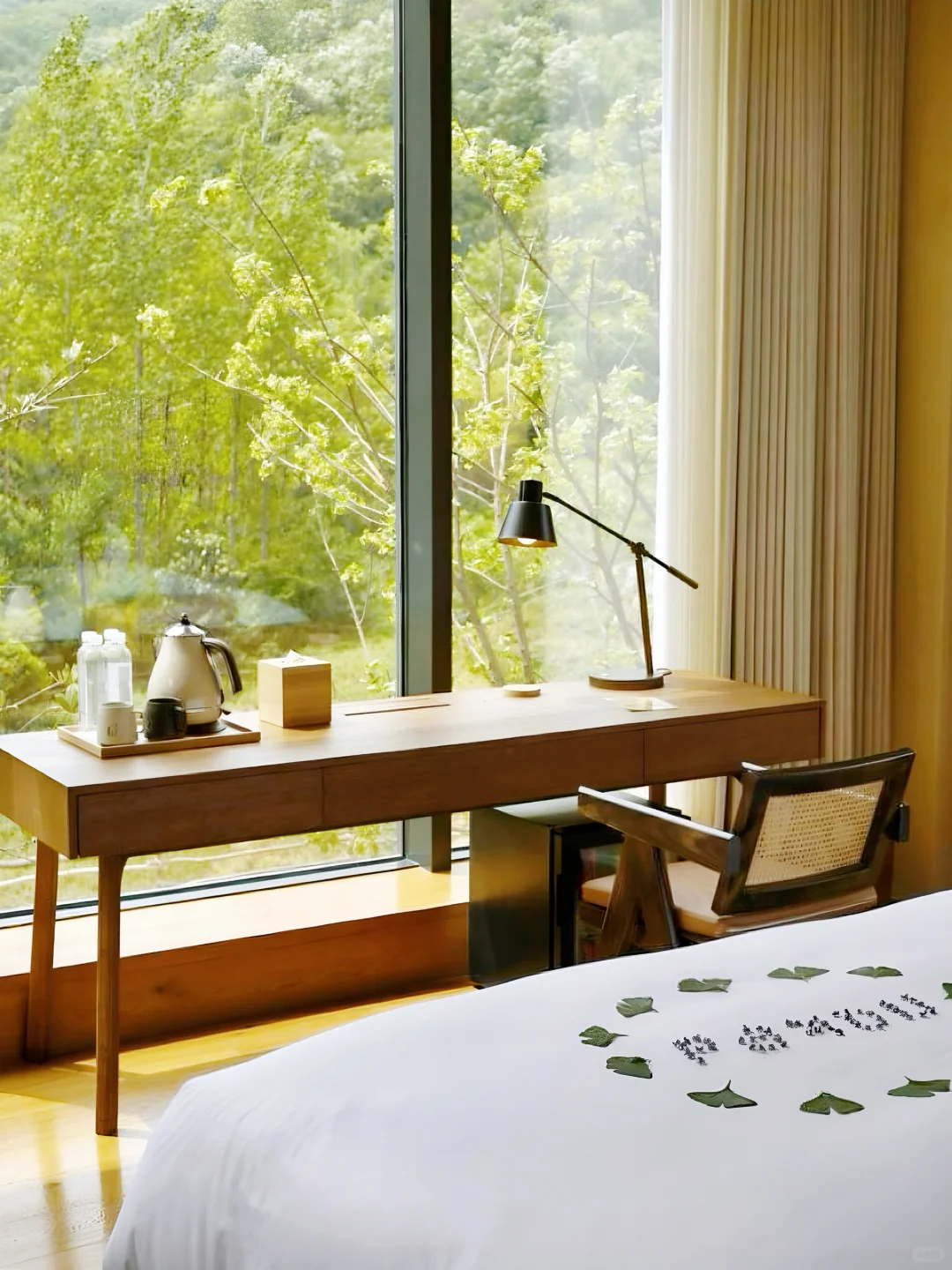 武汉周边2h！闯进宫崎骏的森林秘境！！