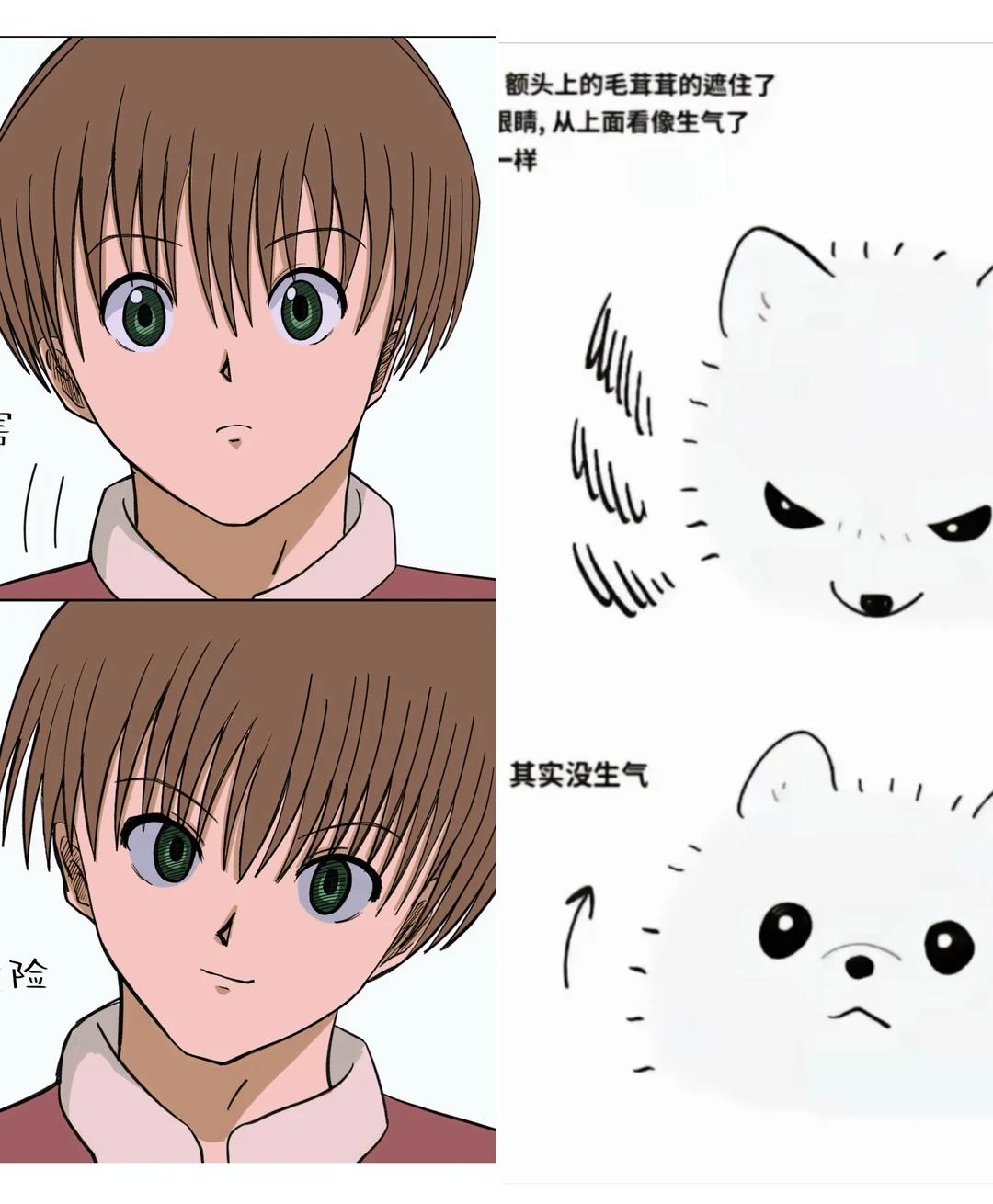 此男梗图应倒过来看
全职猎人 全职猎人侠客