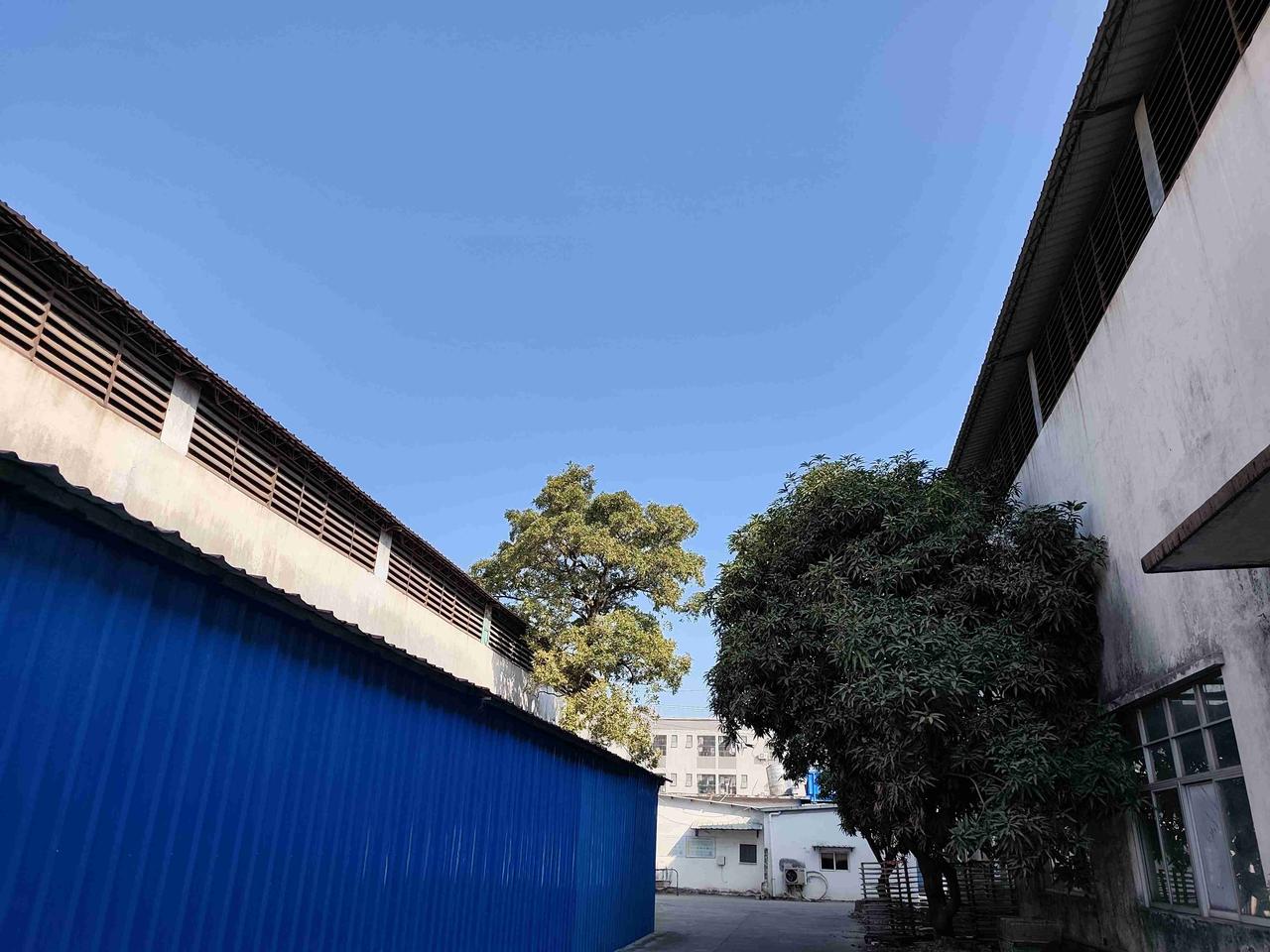 我的今日状态：😁轻松愉快
我这里的天气：☀️晴天
元月7日，东莞气温7——12