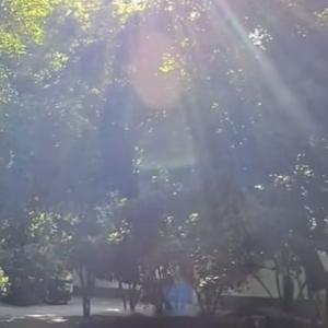 追光的你 🔆🌈🌱💨🍊生活向阳，人生向暖🍃失意时蓄力，得意时淡然❤️向