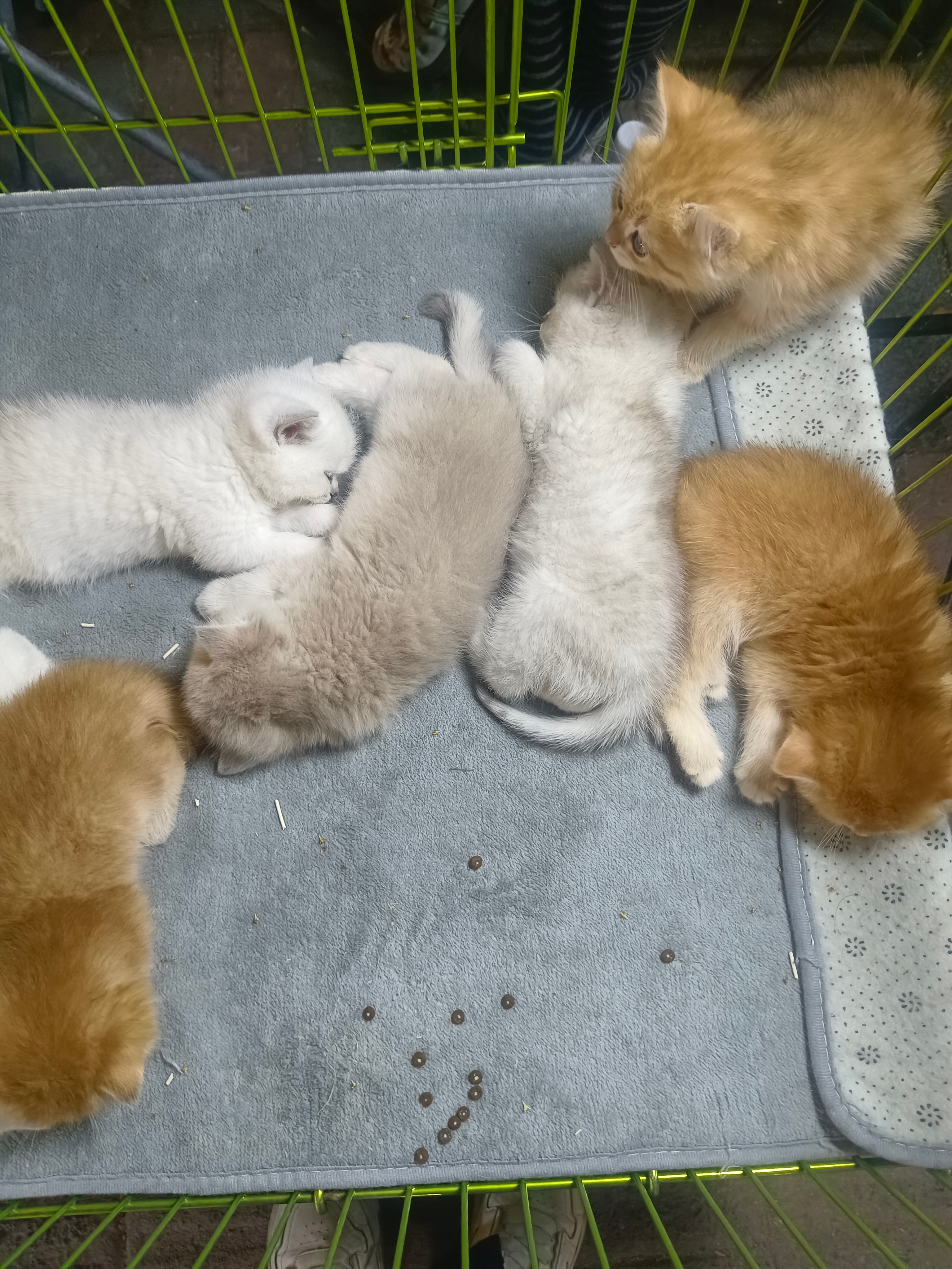 我已经没什么执念了，下辈子就想做个清醒务实、会赚钱的商人。不谈情怀，只护自己，好