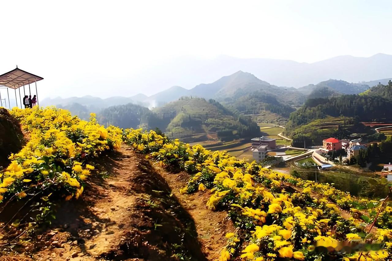 七律：携友游山晚归
伫立青山不忍归，故乡处处好花飞。
楼台水榭弦歌起，柳岸江堤诗