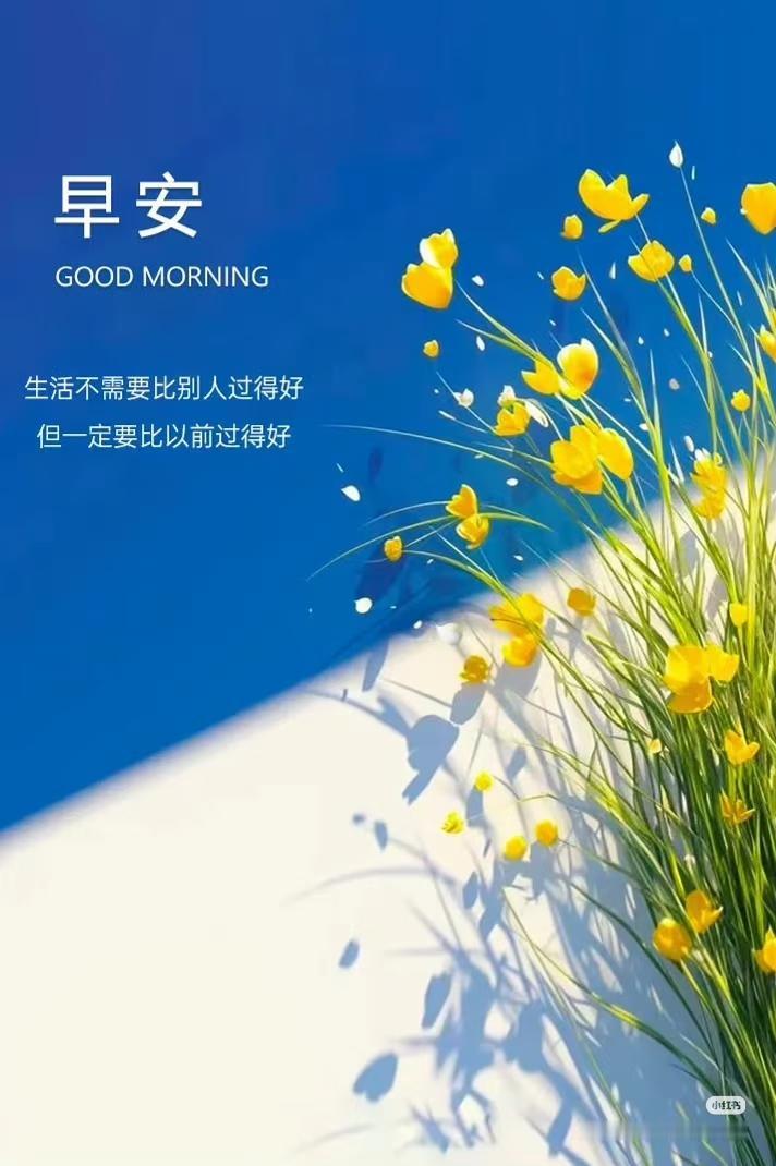 早上好，今天是8月26日星期三，女排亚锦赛第6天。
今晚19点30分，中国女排小