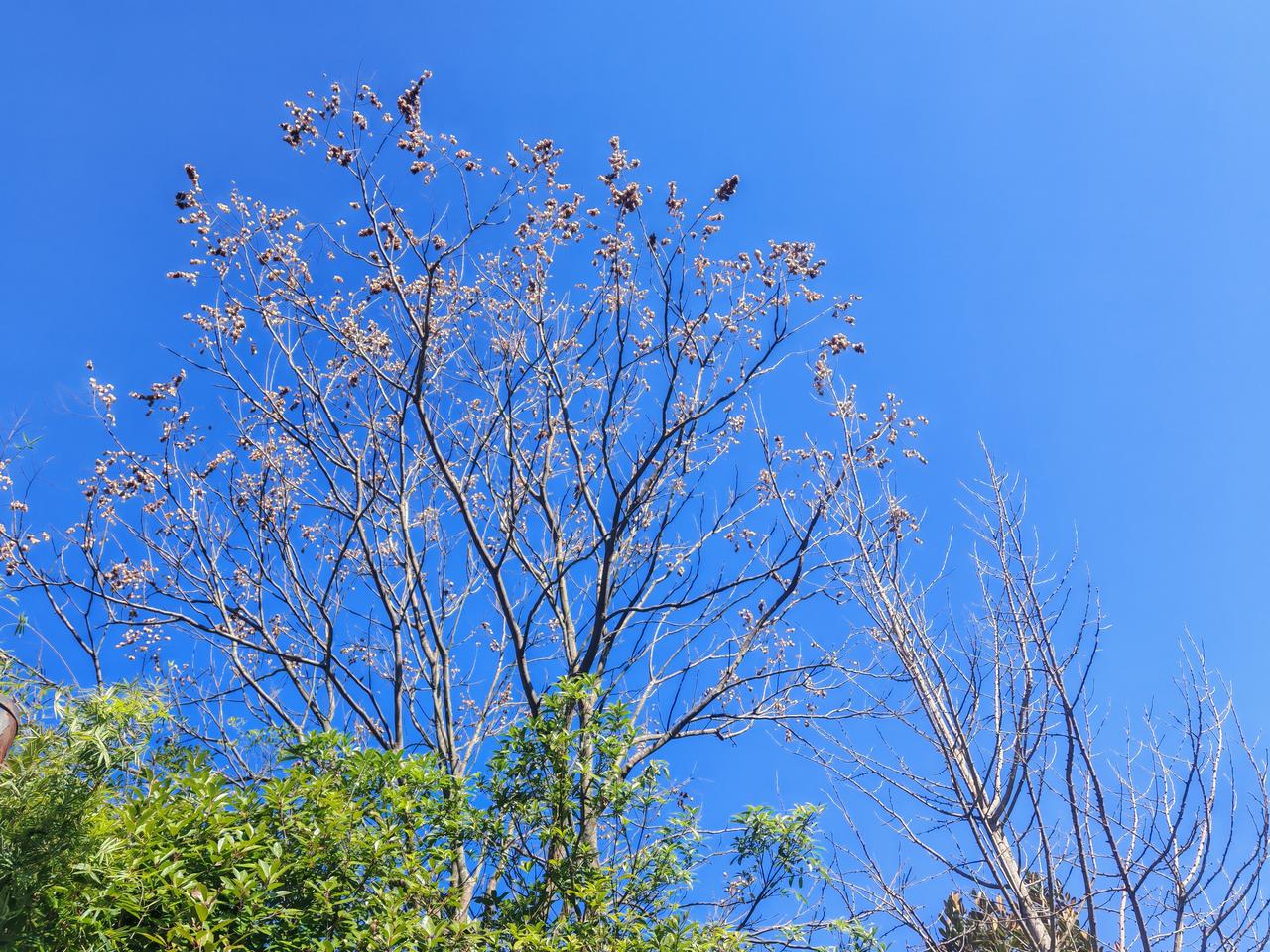 健康身体对老年人来说最重要，培养一两个兴趣爱好，身边有三五个好朋友相伴，这样的晚