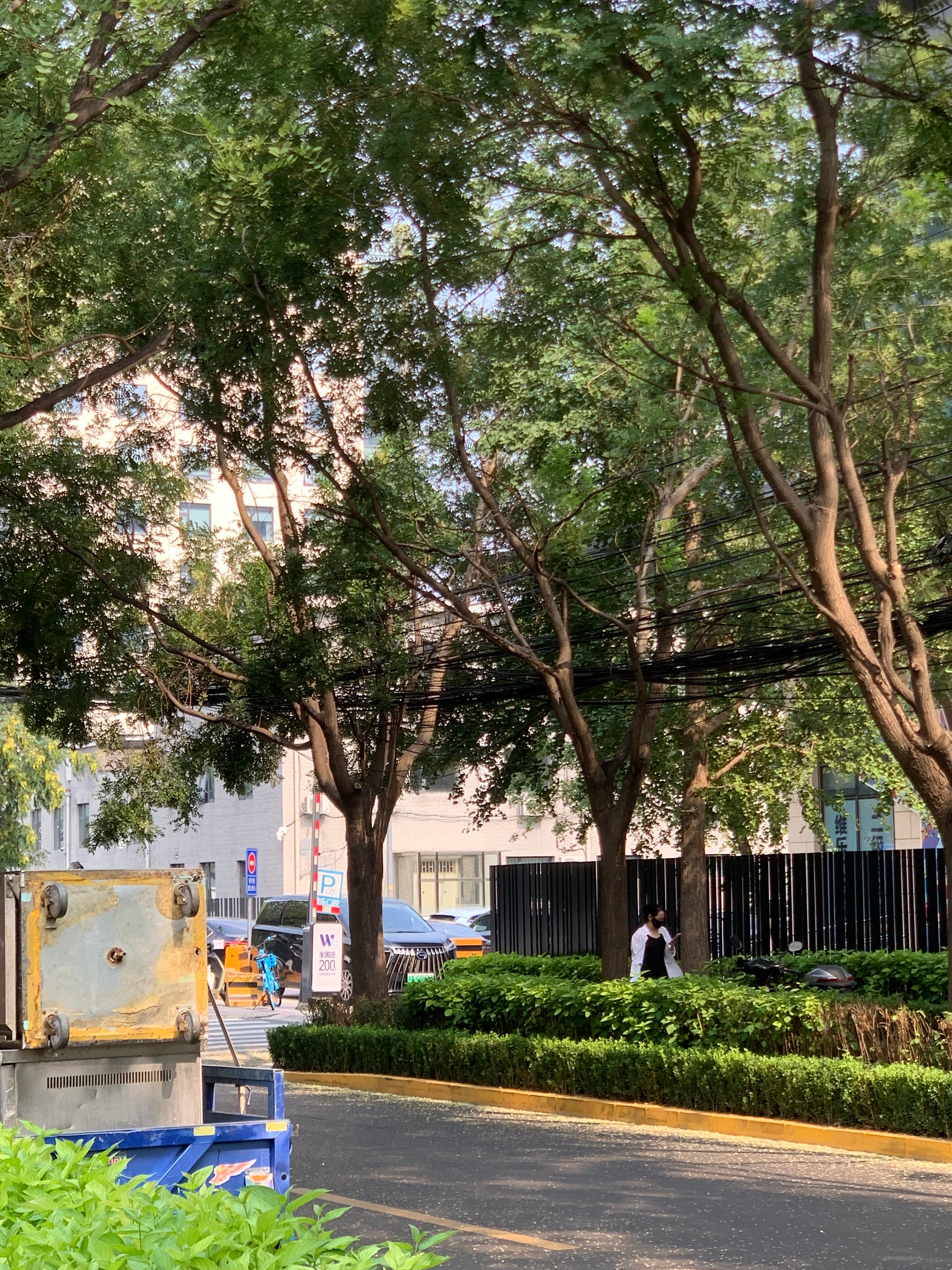 热热热热热北京怎么这么热[泪] ​​​