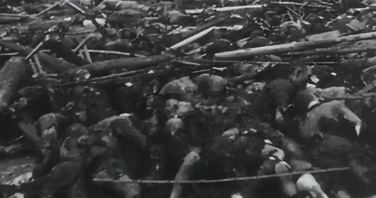 1937年，南京沦陷后，好几万放下武器的中国将士被日军集体屠杀，就奇怪，这么多人