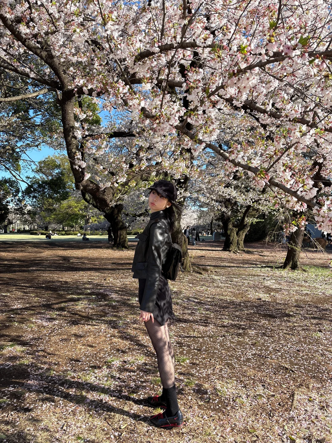 𝗦𝗮𝗸𝘂𝗿𝗮໒꒱˖˚˳⌖