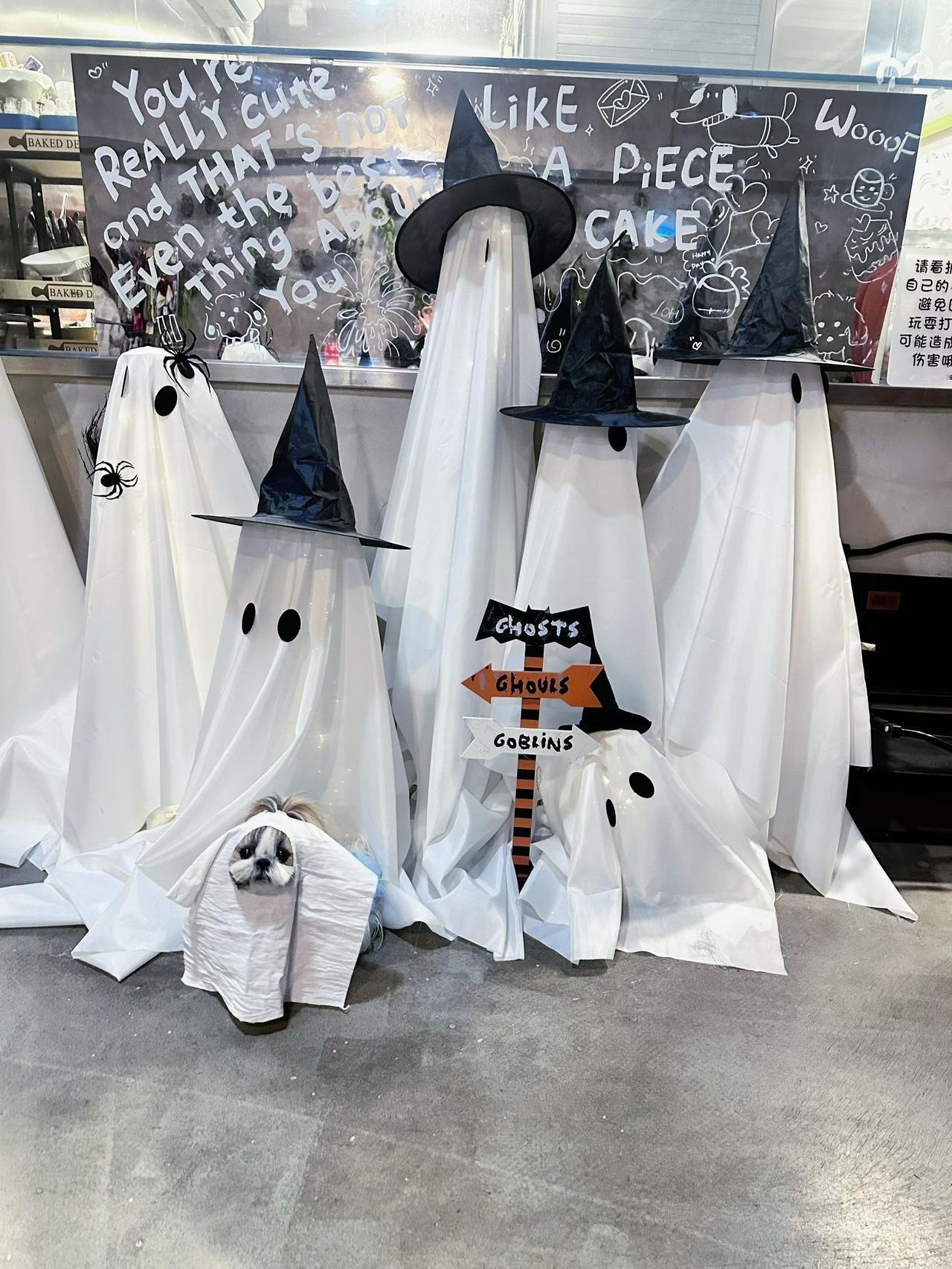 好酷呀 它也过上万圣节了[钱][钱][钱]