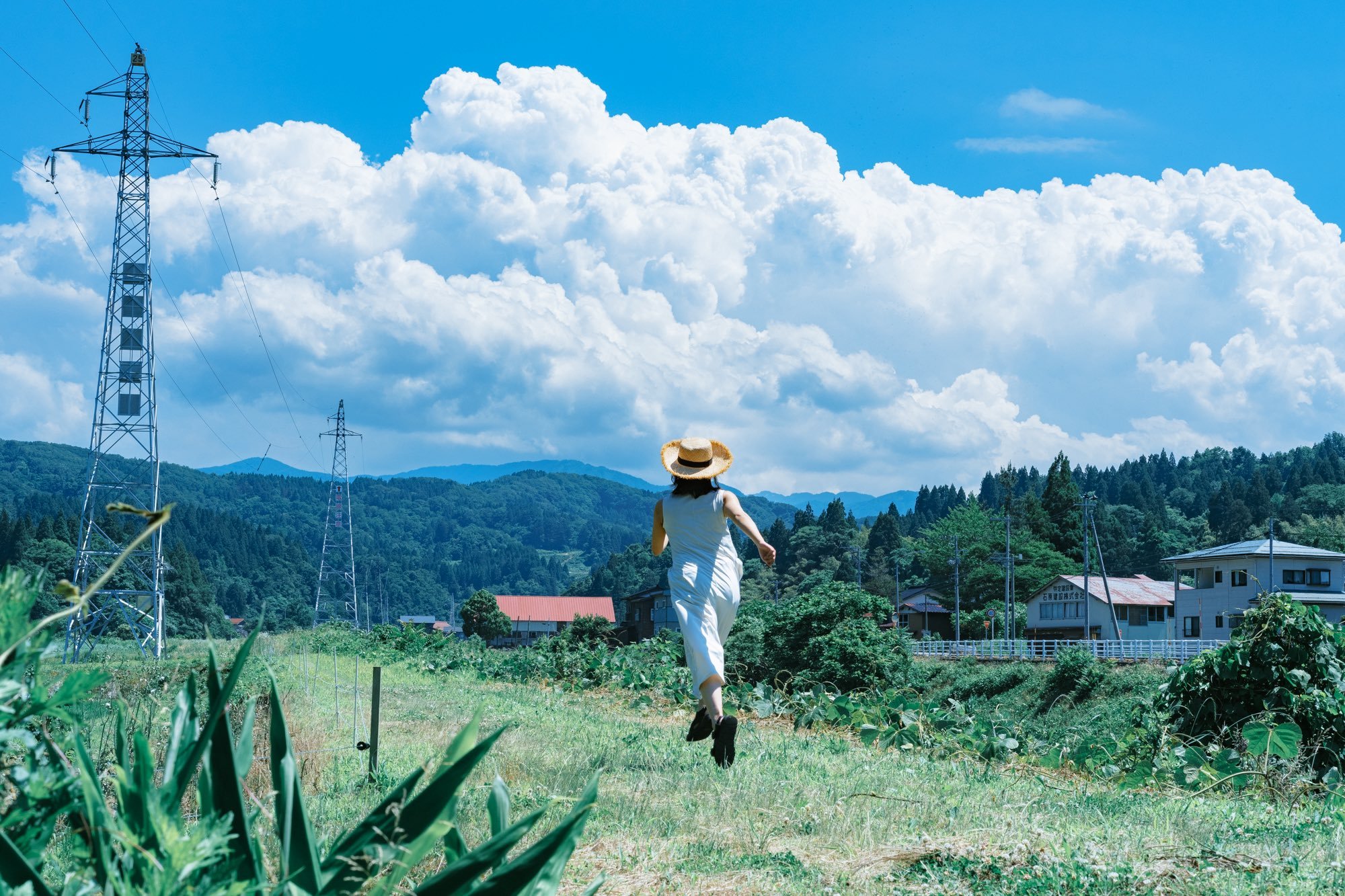 悠长夏日（图源：x.com