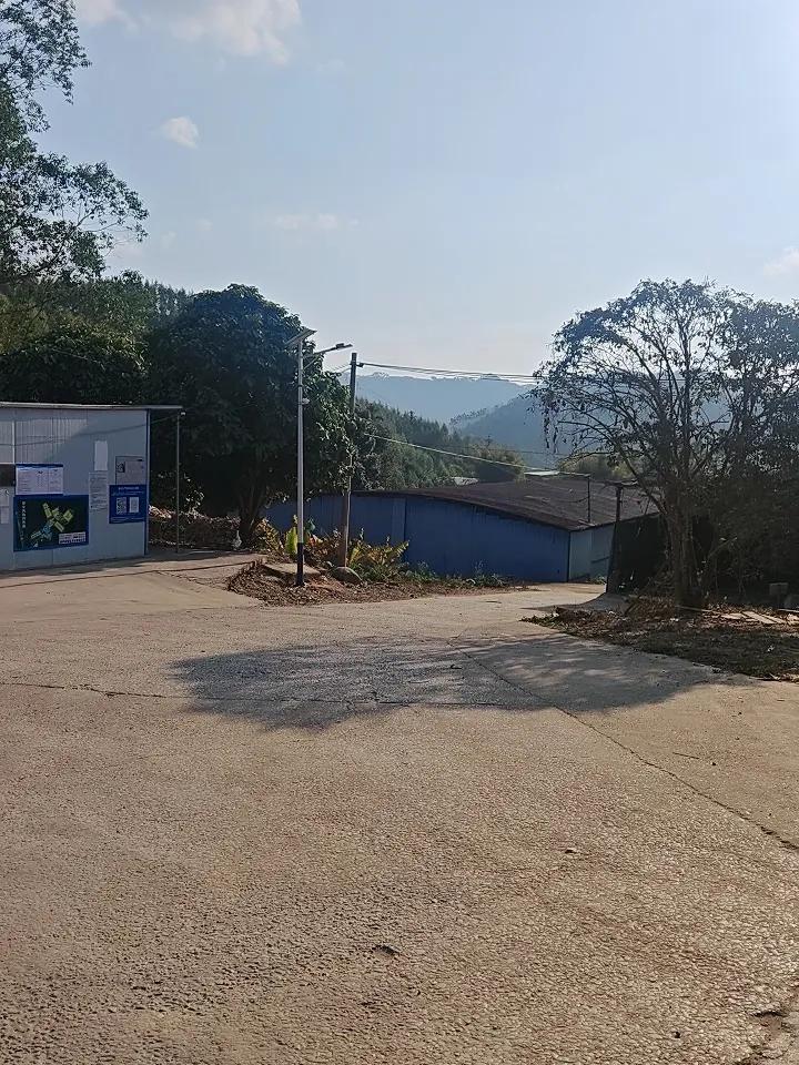 今年冬天的不同这那象冬天呀！春天的天气也没这么舒服过