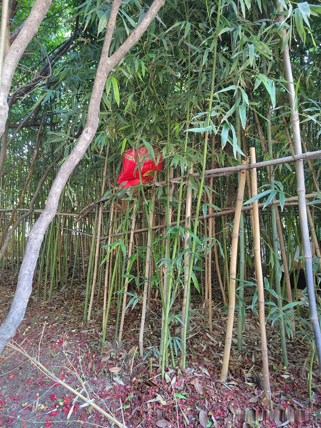 现在，很多人50多岁开始练瑜伽。
我身边就有三个。
一个是我姐姐。
我姐姐50多