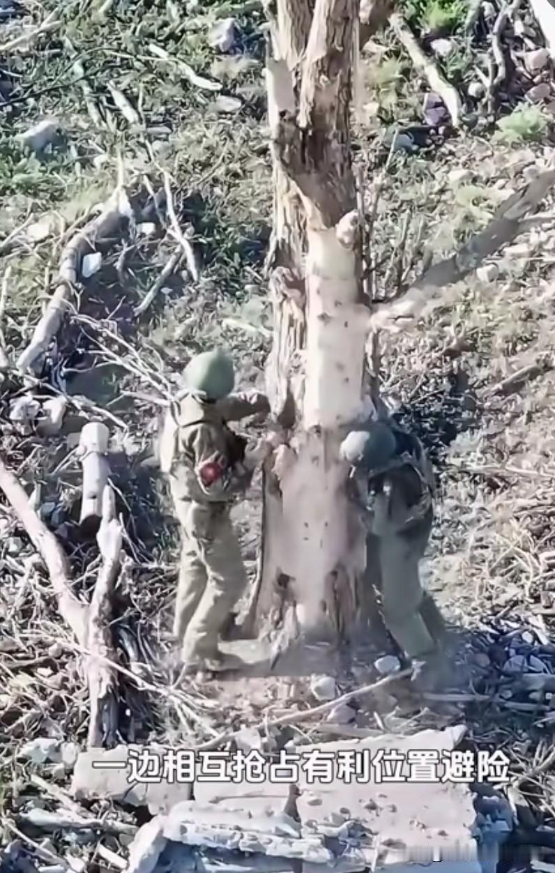 这是战场上，
两名士兵围着大树，
躲避无人机的场景，
结局已成定局。
在无人机大