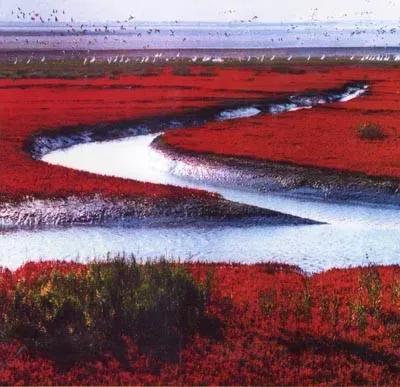 取一层天上的水
月色或日晷
和之间的距离

取一钱冷暖
瑞雪、春雨、锦云或霜露生