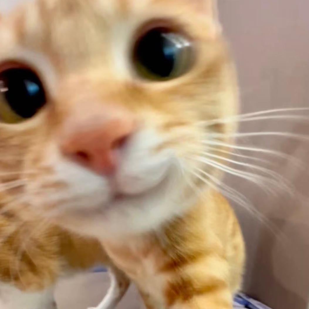 家猫好像化形成人了，这不一模一样？ 