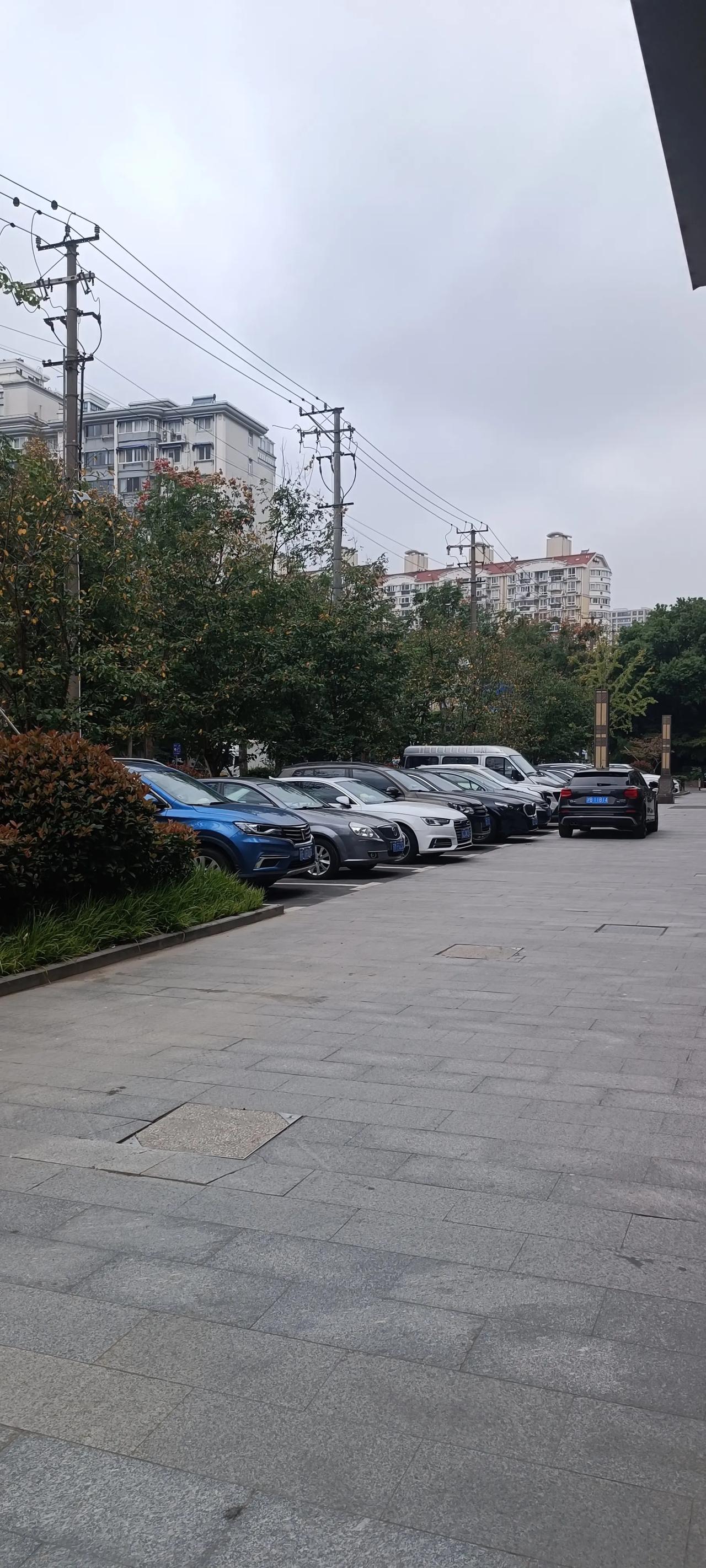 上海的私家车车，现在真都不开了，是不是很难开呀？好多小区的车都停在小区里，不出去