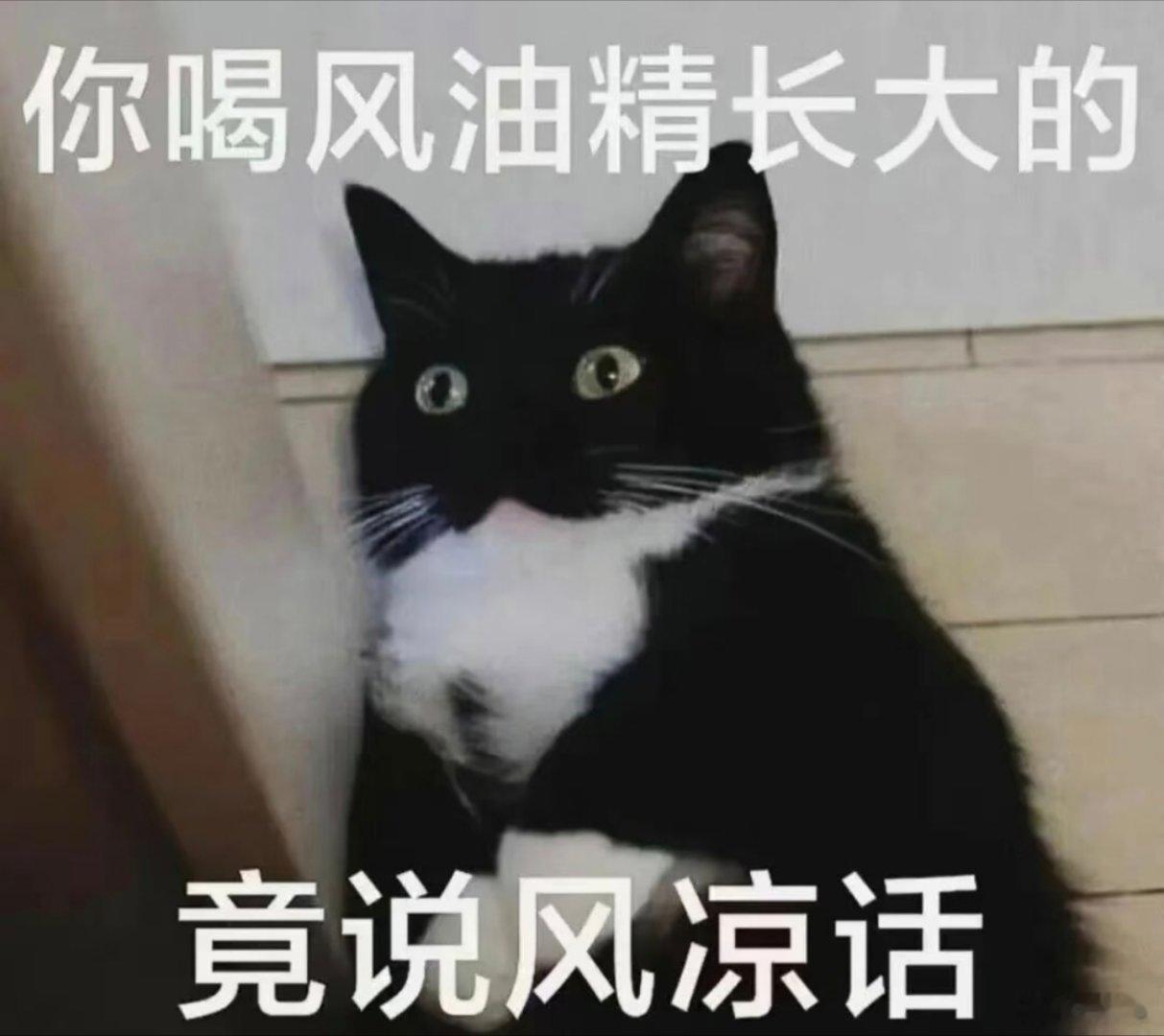 有趣的表情包。 