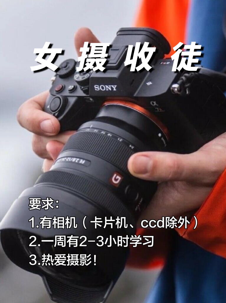 半夜突然很想交人摄影📷