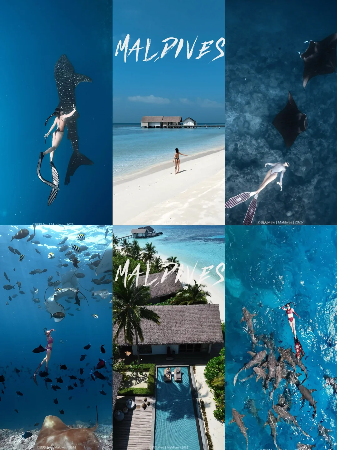 马尔代夫包船拍摄｜定制行程一些精彩瞬间