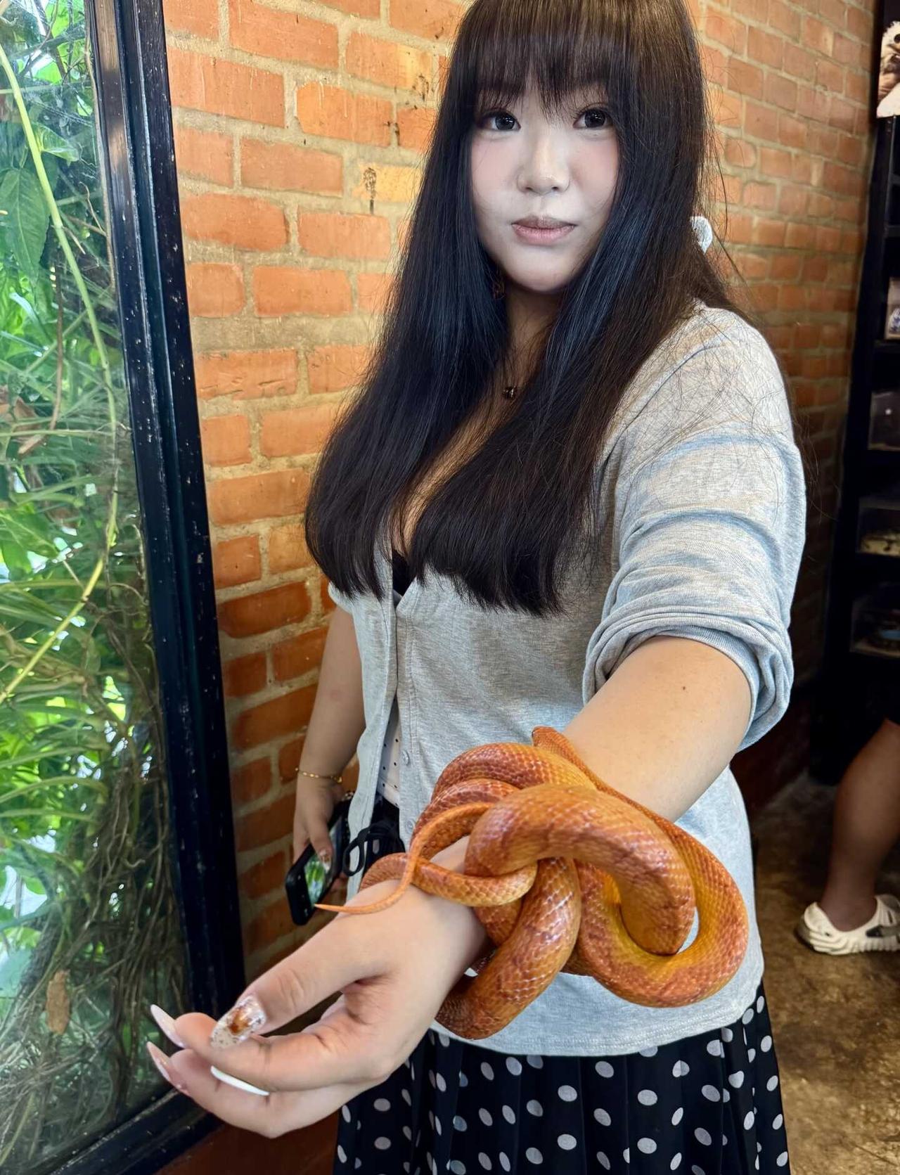 被蛇蛇缠住了手，也勾走了心 🐍约好了，下次
它轻轻缠住我的手，
像是在悄悄说：