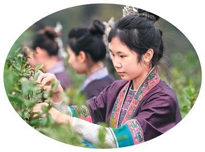 📰 2026年2月11日 今日要闻（南方小年）
 
🔹 国内要闻
 
- 养