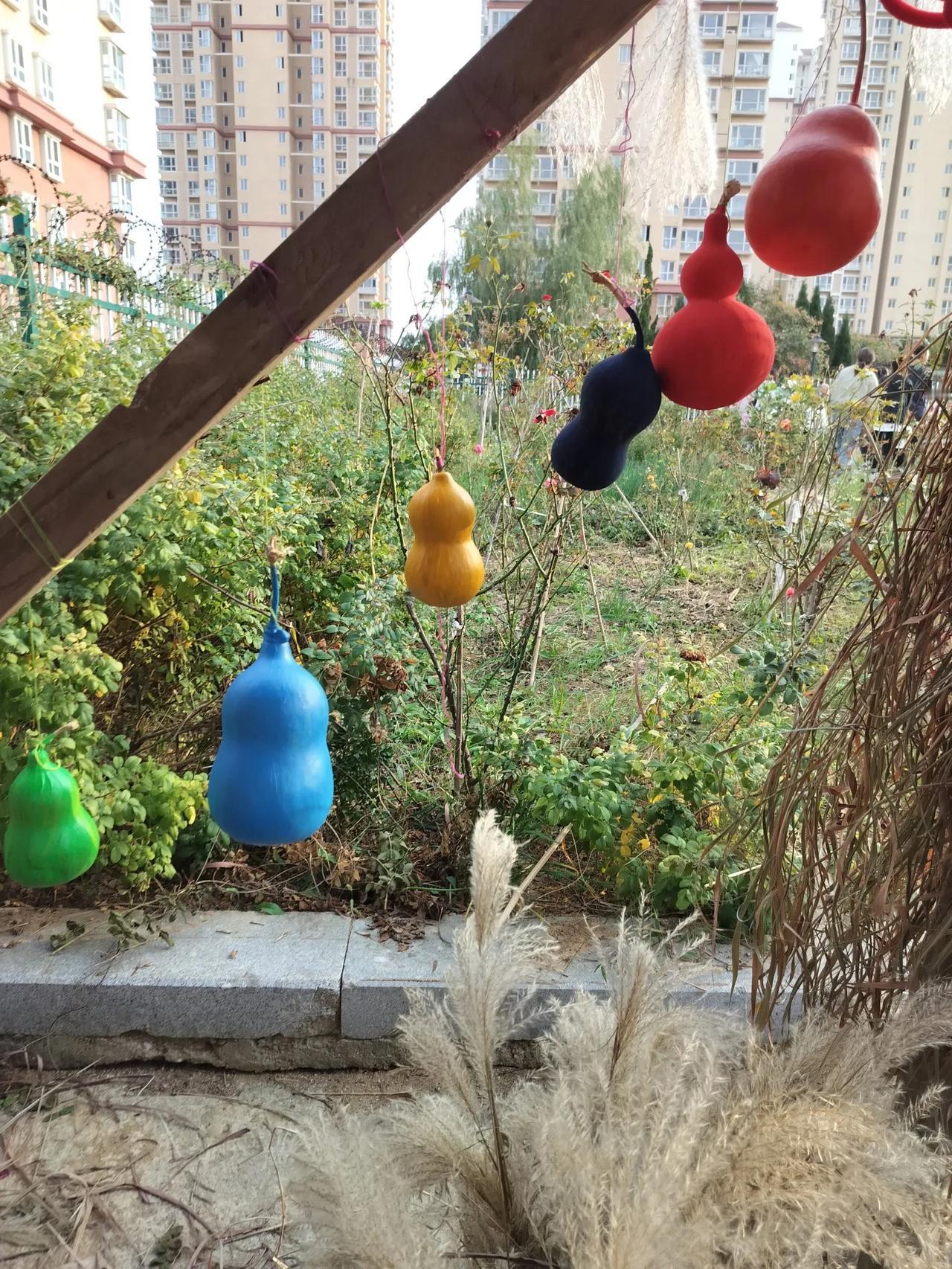 美女座下周运势10月28日-11月3日运势
周一，处理好家中事务，房产居住问题，