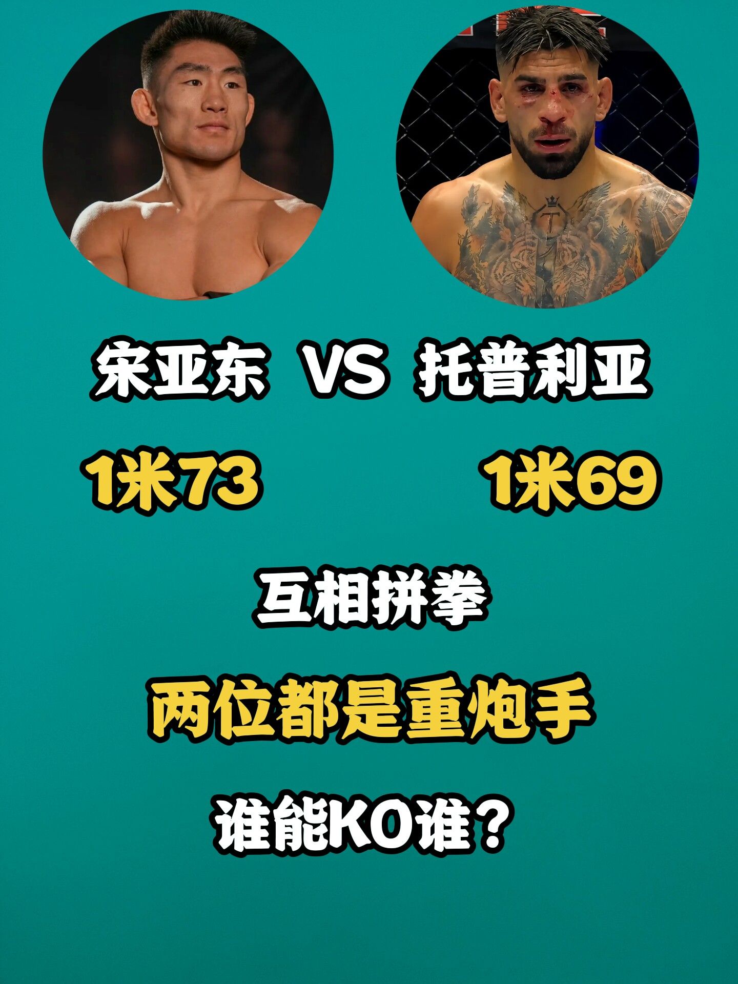 宋亚东 托普利亚 综合格斗ufc