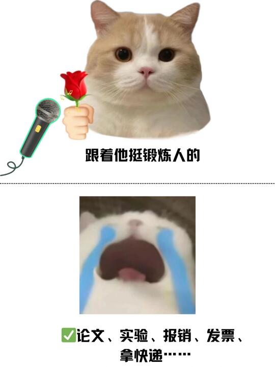 学长学姐的选导师黑话🤫