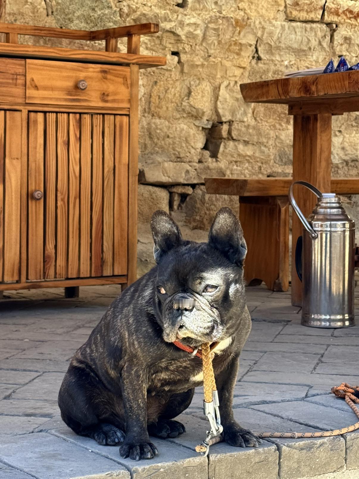 我的今日状态：😁轻松愉快
我这里的天气：☀️晴天
晒太阳 喝茶 观天下