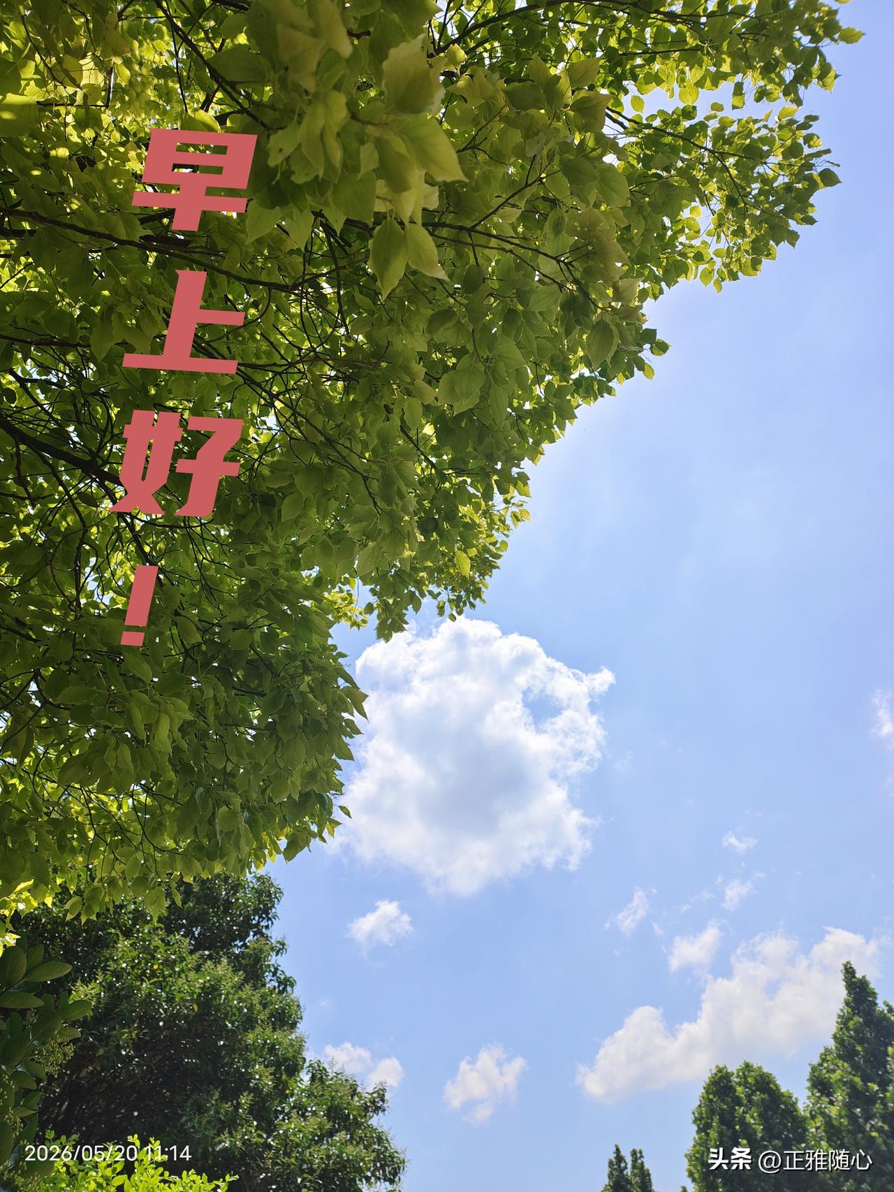 业主
‌业主是小区的主人‌，物业公司只是受聘提供服务的“管家”，两者是雇佣与被雇