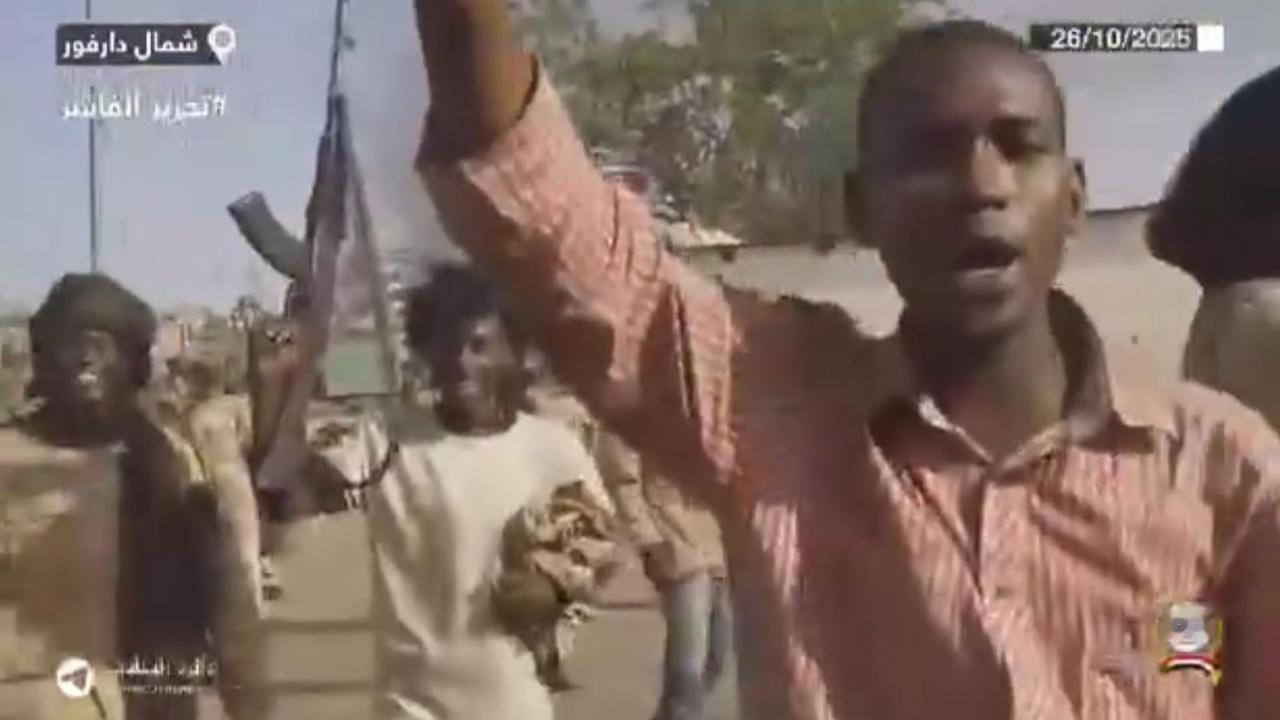 苏丹重要城市在历经18个月围困后落入准军事组织之手
