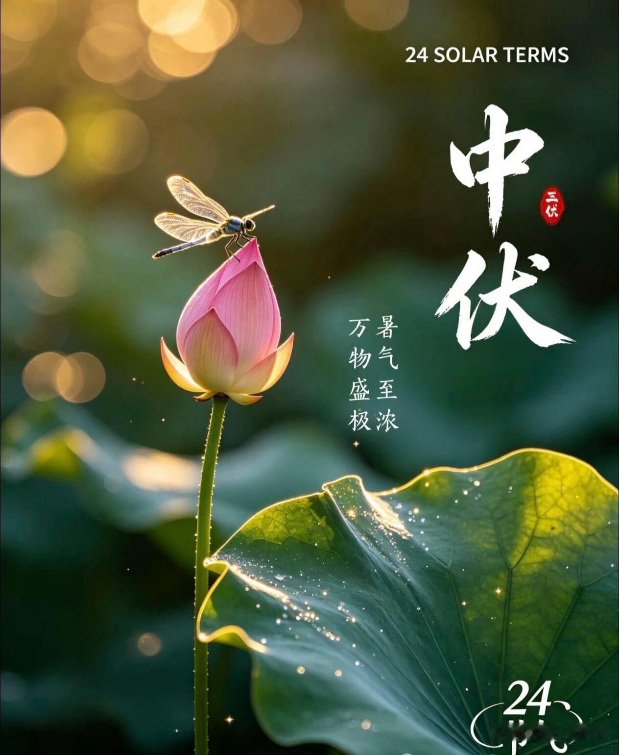 🌼²⁰²⁶/₀₇.₂₅ᵕ̈ᵕ̈周六｜中伏清凉🌧️🍃🍒🍑☕️
🍃𝐆?