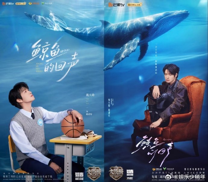 发现了大侦探海报的小巧思无意间把两张海报拼在一起，直接解锁了完整鲸鱼的隐藏图案，