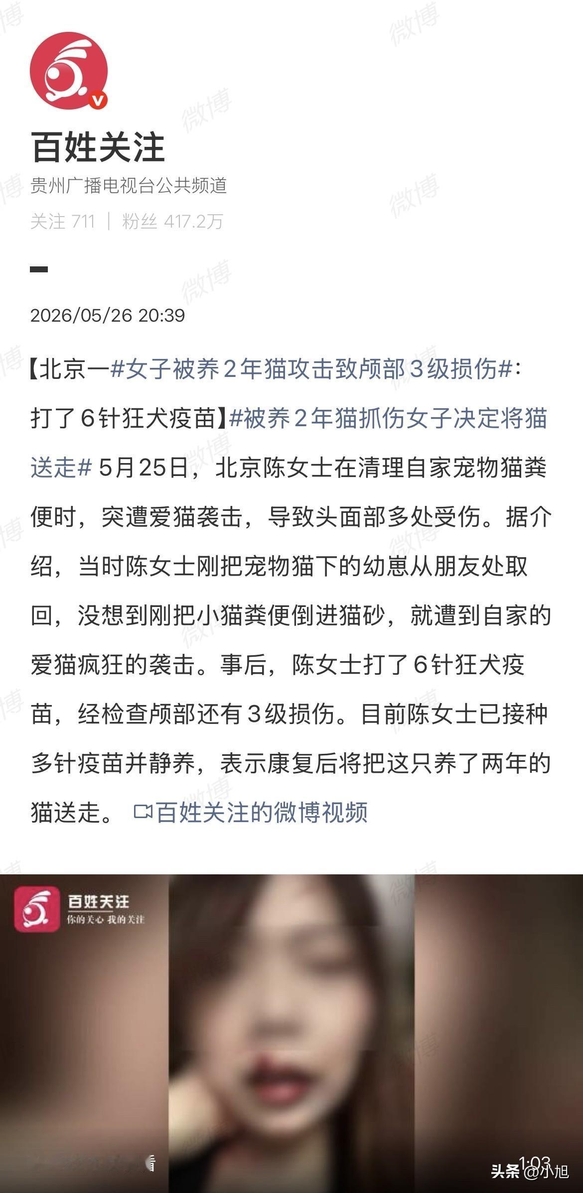 养了两年的猫，说翻脸就翻脸了。

北京陈女士到现在都没想明白，那个下午她只是像往