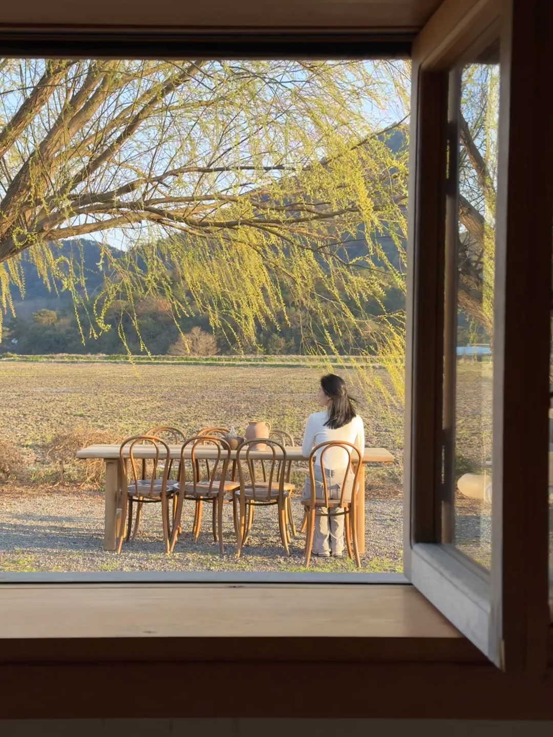 东钱湖｜避世稻田咖啡🏠听风铃拂柳絮🎐