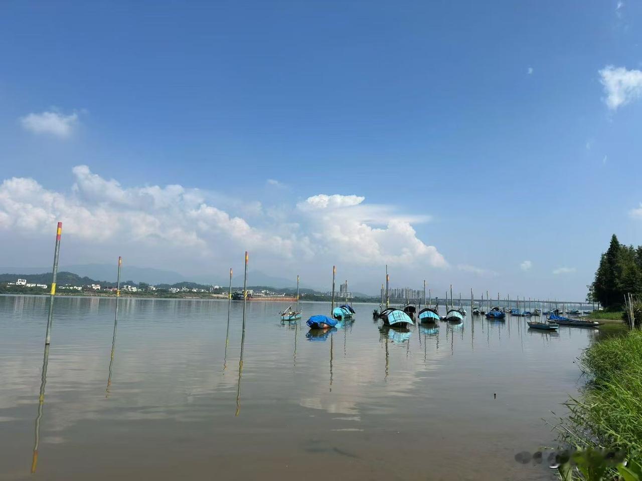 分享一张最近随手拍的照片