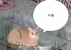 主包被咪咕气的享福去了 