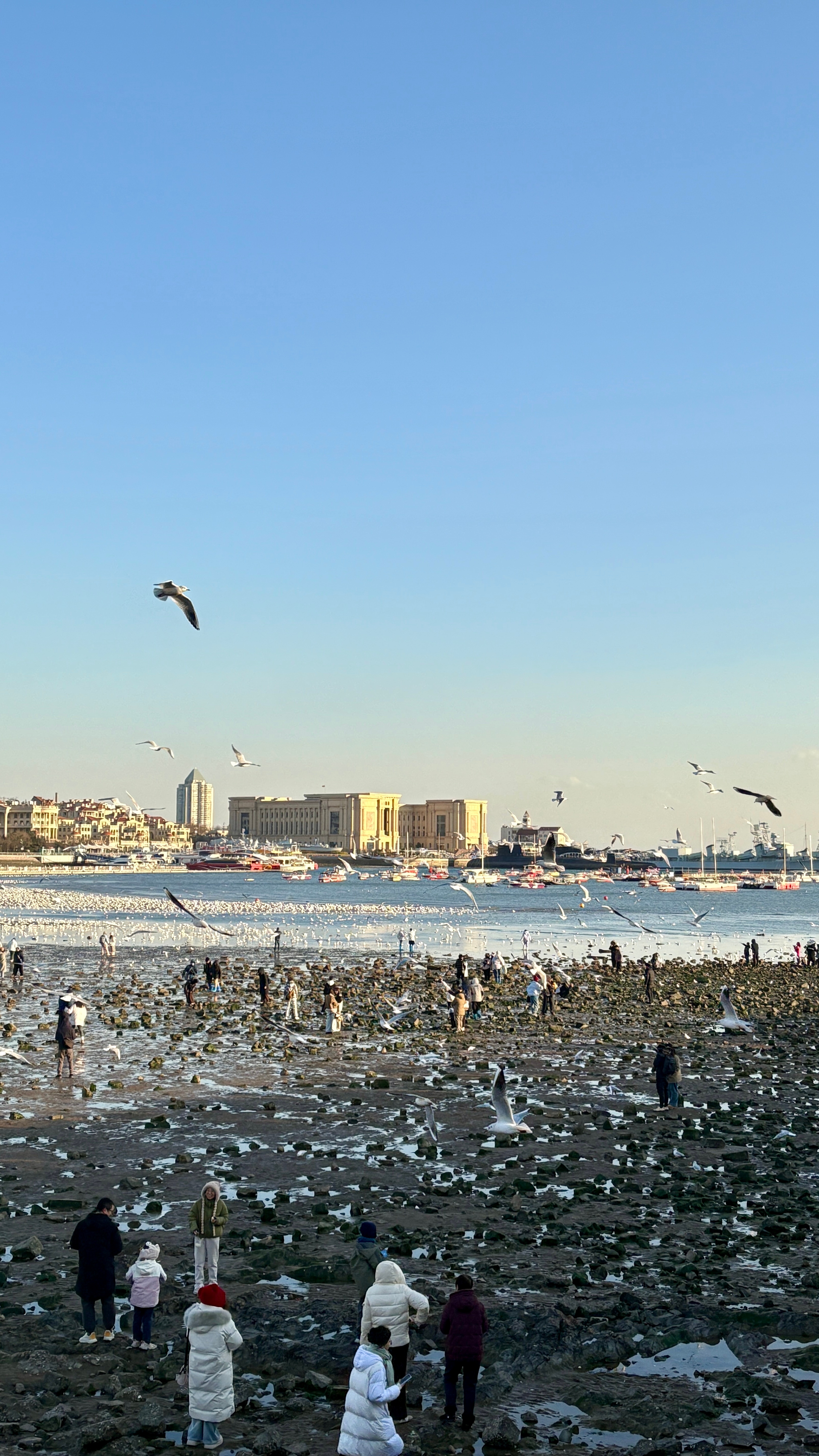 记第一次一个人的旅游📝去到一个陌生的城市 其实我还挺兴奋的 是自由的感觉 从上