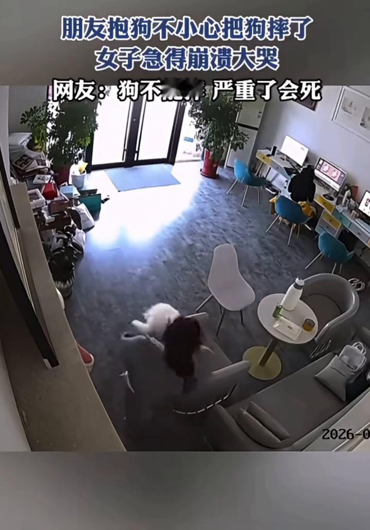 朋友抱狗不小心把狗摔了，女子急得崩溃大哭。网友：狗不能摔，严重了会死。
4月16