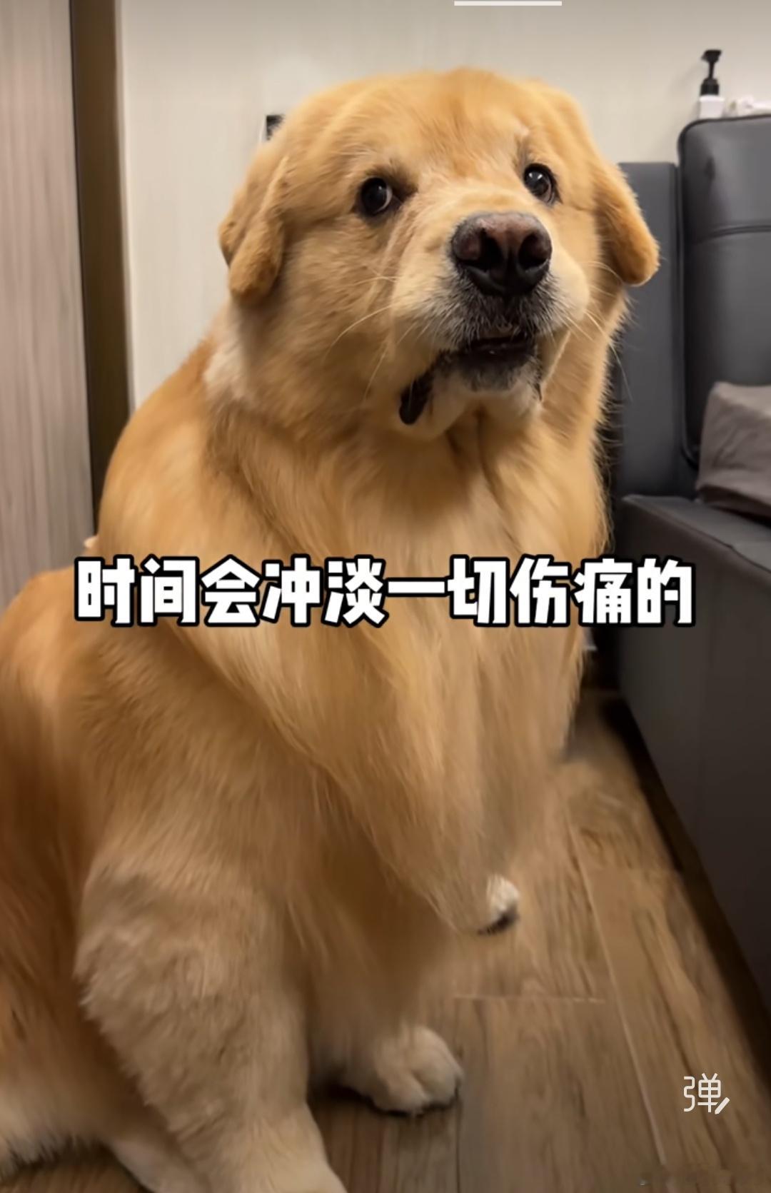 假期结束了，去单位加了会儿班。活压在身上干不完，真的干不完。到这个点了，赶紧回家