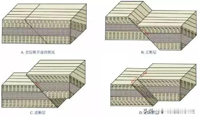 断层分类